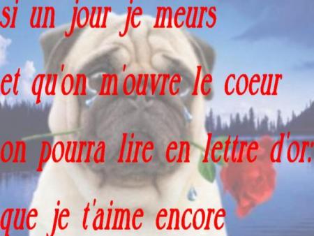 pour toi mon coeur!!!